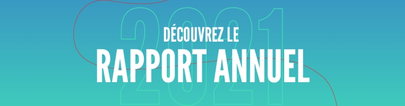 Rapport annuel bleu vert 