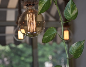 lampe plante verte